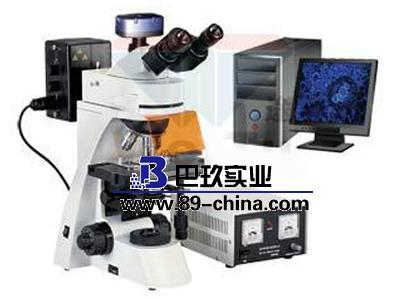 BM-11-2數(shù)碼簡(jiǎn)易偏光顯微鏡(裝置）