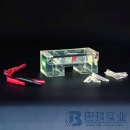 國(guó)產(chǎn)DYCP-31C型瓊脂糖水平電泳儀(槽)(小號(hào))