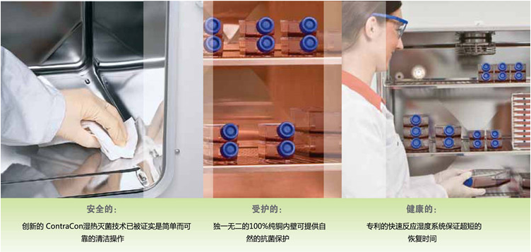 二氧化碳培養(yǎng)箱性能